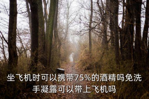 坐飞机时可以携带75%的酒精吗免洗手凝露可以带上飞机吗