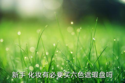 新手 化妆有必要买六色遮瑕盘吗
