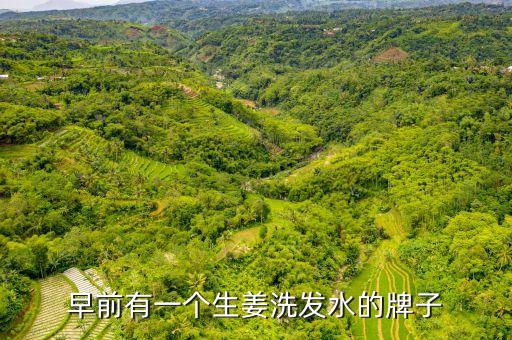吕含光耀洗发水怎么用,陆这款洗发水真的好用吗？