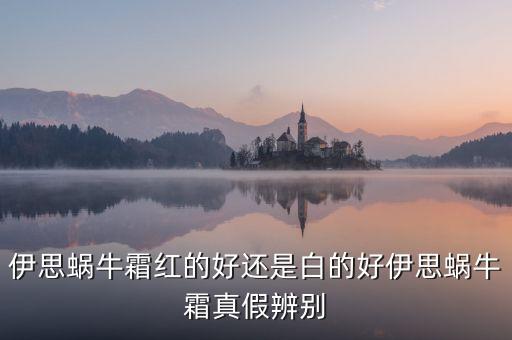晶钻蜗牛红bb怎么样,哪家B.B面霜最好？