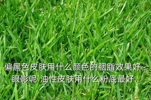 偏黑色皮肤用什么颜色的胭脂效果好~眼影呢`油性皮肤用什么粉底最好...