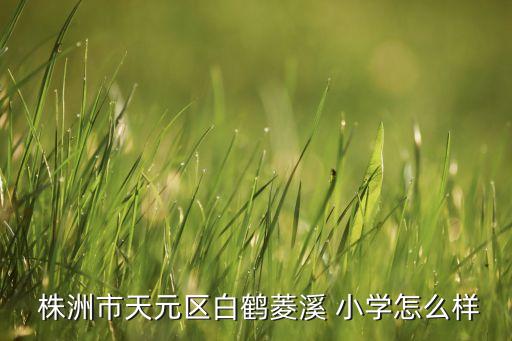  株洲市天元区白鹤菱溪 小学怎么样