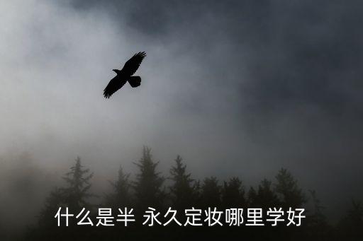什么是半 永久定妆哪里学好