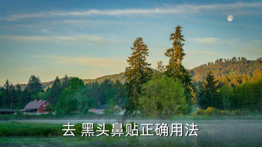 去 黑头鼻贴正确用法