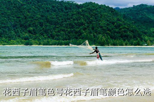 花西子眉笔色号花西子眉笔颜色怎么选