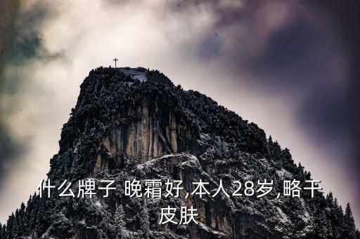 什么牌子 晚霜好,本人28岁,略干皮肤