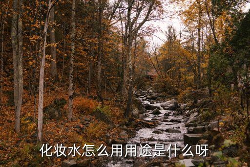 薏仁化妆水如何使用,一文看懂!薏仁水化妆水怎么用?