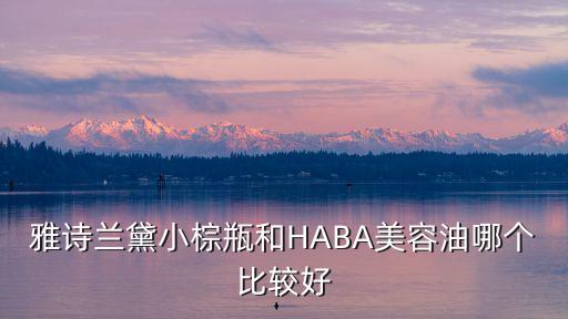 雅诗兰黛小棕瓶和HABA美容油哪个比较好