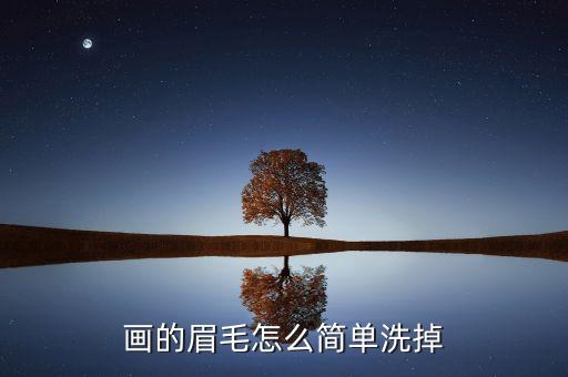 画的眉毛怎么简单洗掉