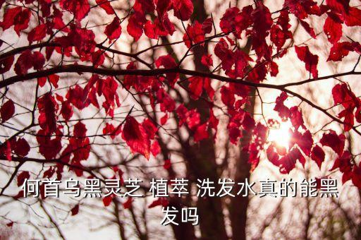 何首乌黑灵芝 植萃 洗发水真的能黑发吗