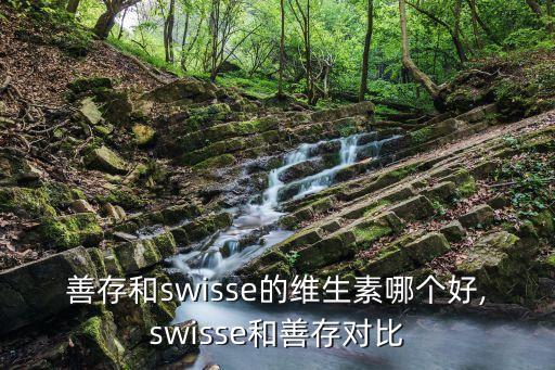 善存什么牌子,关于善存和国产善存有何区别?