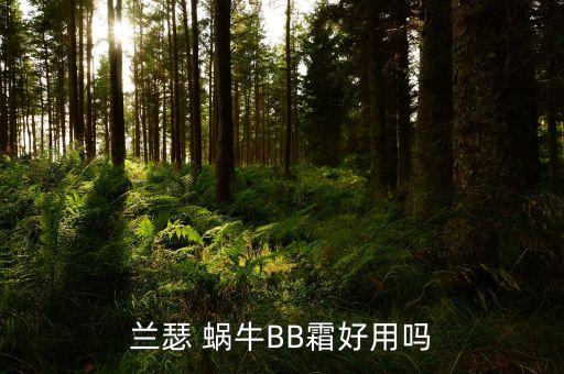 兰瑟 蜗牛BB霜好用吗