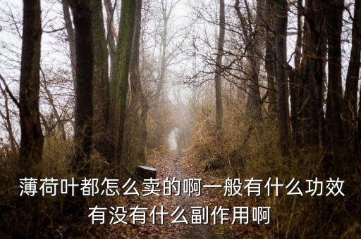  薄荷叶都怎么卖的啊一般有什么功效有没有什么副作用啊