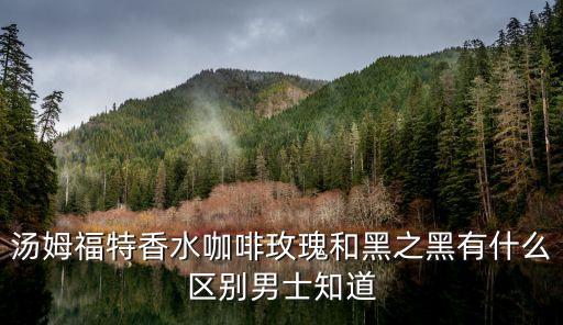 汤姆福特香水咖啡玫瑰和黑之黑有什么区别男士知道
