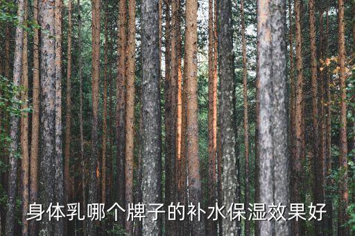 身体乳哪个牌子的补水保湿效果好