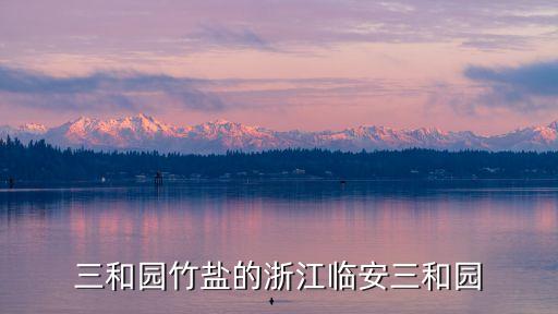 竹盐是什么品牌,上善竹盐是什么品牌