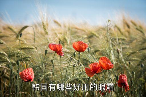 韩国有哪些好用的眼霜