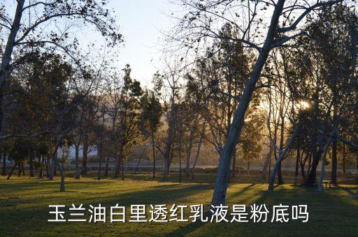 玉兰油白里透红乳液是粉底吗