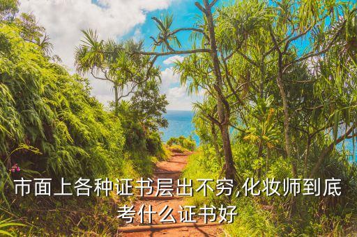 化妆讲师证书有什么用,国际讲师资格证有什么用？