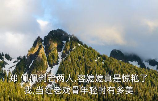 佩佩眼影怎么样