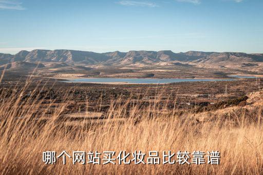 哪个网站买化妆品比较靠谱