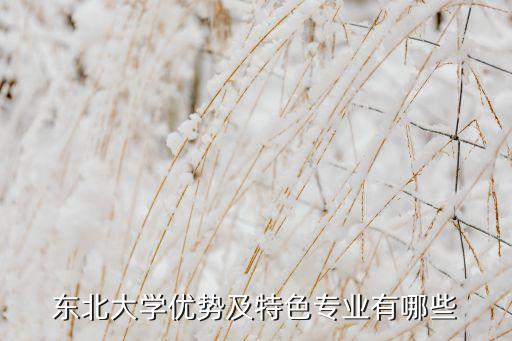 东北大学优势及特色专业有哪些