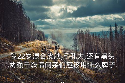 我22岁混合皮肤,毛孔大,还有黑头,两颊干燥请问亲们应该用什么牌子...