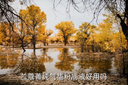 兰蔻气垫怎么样,十大最佳气垫