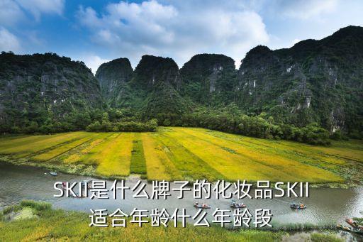 肌源修护精华霜怎么样,产妇不知道该买什么护肤品好?建议用sk2修护精华霜