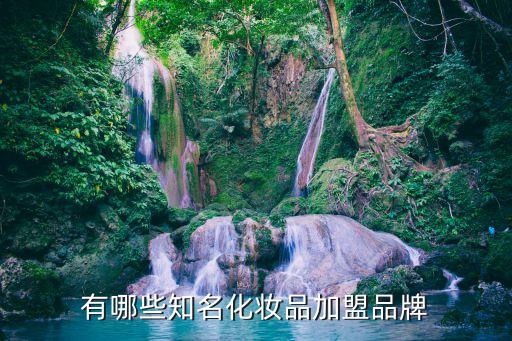 有哪些知名化妆品加盟品牌