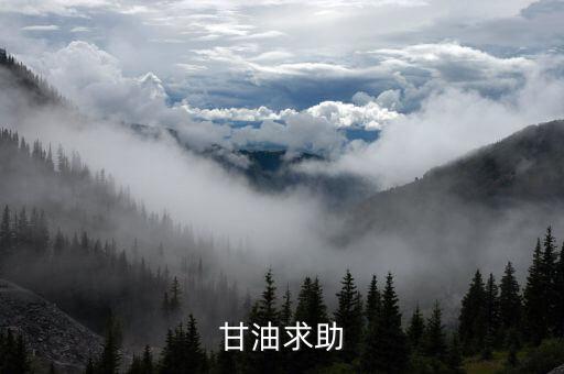 甘油求助