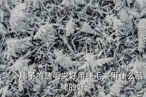 哪个牌子的睫毛夹好用睫毛夹用什么品牌的好