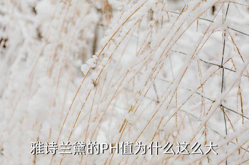 雅诗兰黛的PH值为什么这么大