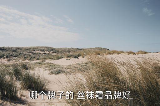 哪个牌子的 丝袜霜品牌好