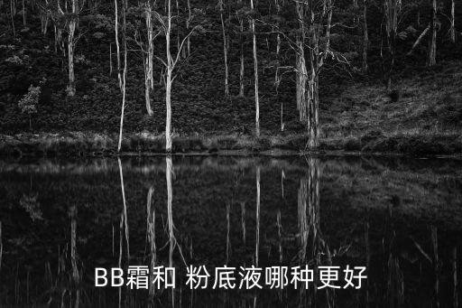 BB霜和 粉底液哪种更好
