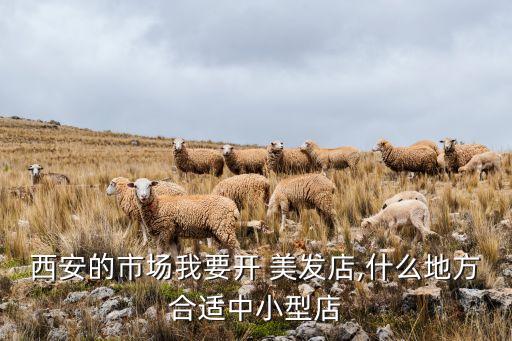 西安的市场我要开 美发店,什么地方合适中小型店