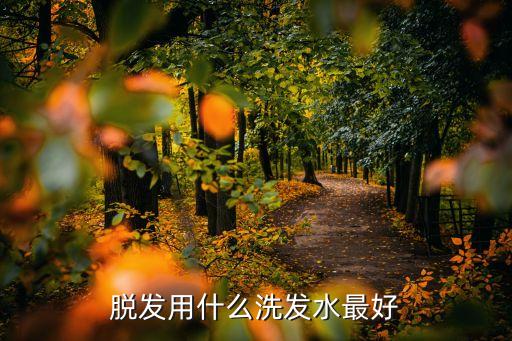 脱发用什么洗发水最好