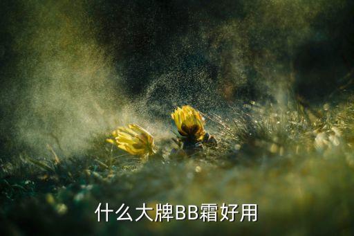 蒂佳婷银色bb什么色号