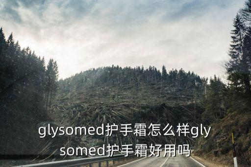 GLYSOMED是什么意思,颖片是什么意思？