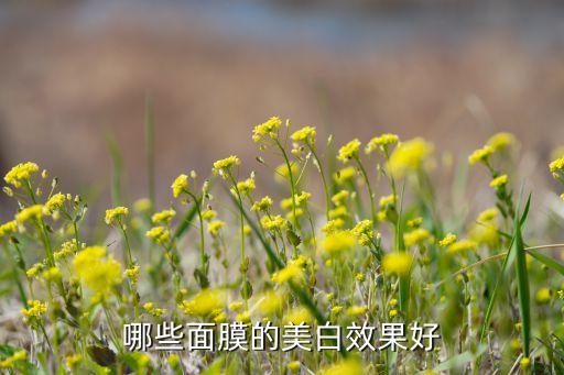 美白面膜什么最好,男士美白面膜哪个效果最好？