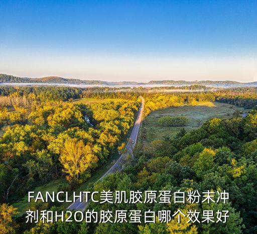 Fancl的胶原蛋白粉末怎么样,fancl胶原蛋白片怎么样?
