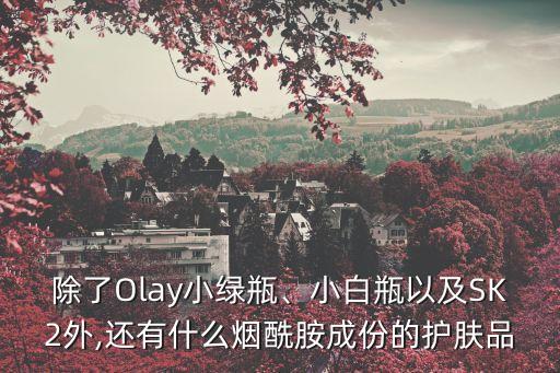 除了Olay小绿瓶、小白瓶以及SK2外,还有什么烟酰胺成份的护肤品