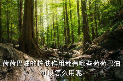 荷荷巴油的护肤作用都有哪些荷荷巴油可以怎么用呢