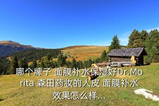 哪个牌子 面膜补水保湿好Dr.Morita 森田药妆的人皮 面膜补水效果怎么样...