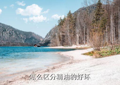 克丽缇娜如何辩真假