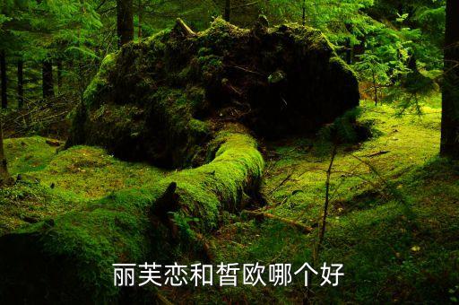 丽芙恋和皙欧哪个好