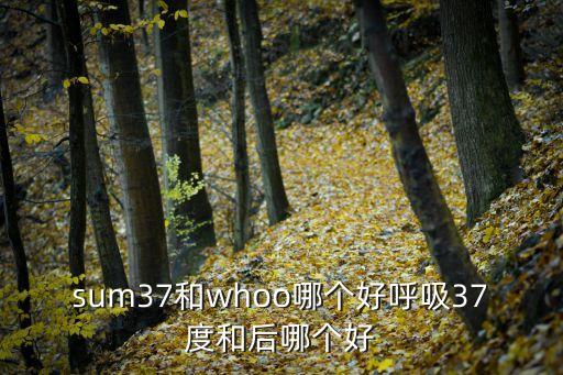 sum37和whoo哪个好呼吸37度和后哪个好