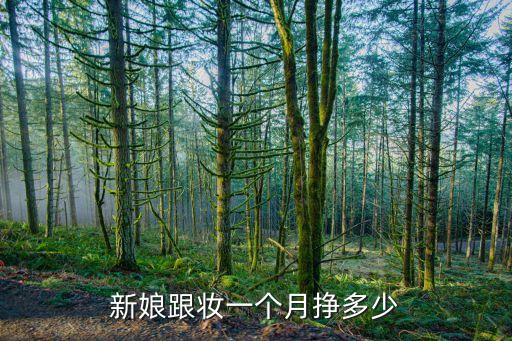 新娘跟妆一个月挣多少