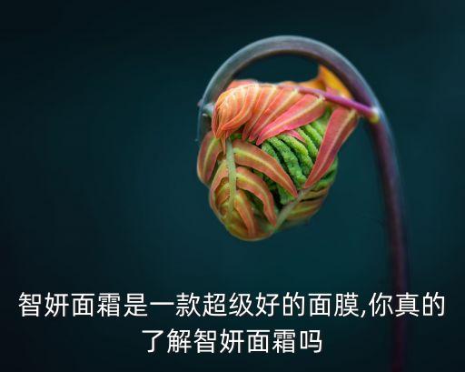 智妍面霜是一款超级好的面膜,你真的了解智妍面霜吗