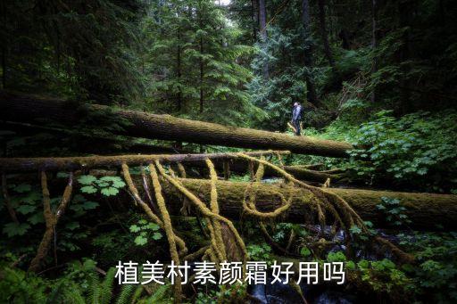 植美村方形粉底液怎么样
